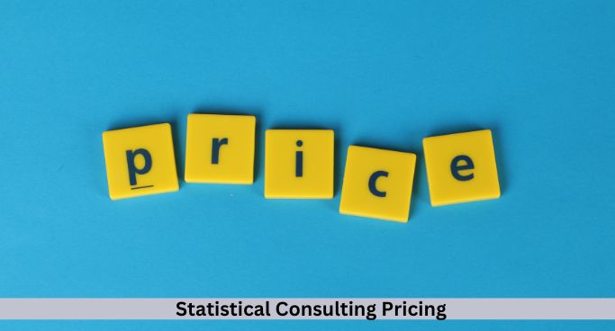 statistical consulting pricing