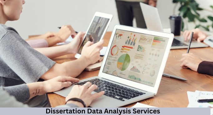 dissertation data analysis help services